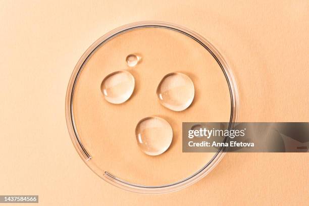 samples of antibacterial gel in petri dish on peach background. chemical research in scientific laboratory. flat lay style - boîte de pétri photos et images de collection
