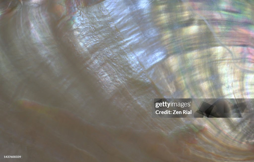 Nacre also called Mother-of-Pearl- inside surface of an Abalone
