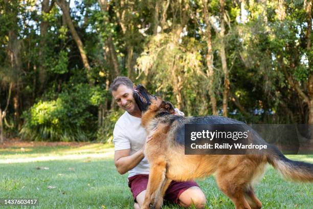 family time with pets - australian family time stock pictures, royalty-free photos & images