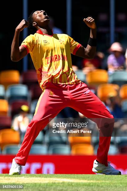 Blessing Muzarabani of Zimbabwe celebrates dismissing Soumya Sarkar of Bangladesh during the ICC Men's T20 World Cup match between Bangladesh and...