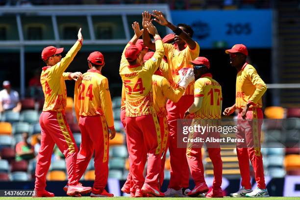 Zimbabwe celebrate a wicket during the ICC Men's T20 World Cup match between Bangladesh and Zimbabwe at The Gabba on October 30, 2022 in Brisbane,...