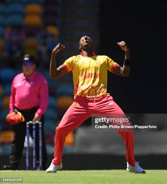 Blessing Muzarabani of Zimbabwe celebrates after dismissing Soumya Sarkar of Bangladesh during the ICC Men's T20 World Cup match between Bangladesh...