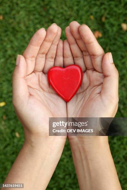 red heart shape in hands against green background - red grant stock pictures, royalty-free photos & images