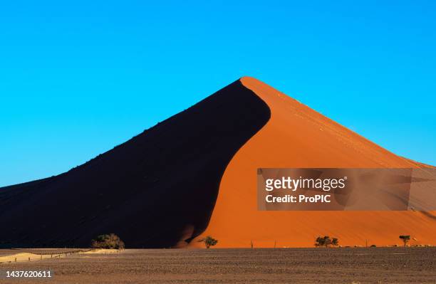 desert view and sand dunes in namibia. - désert du namib photos et images de collection