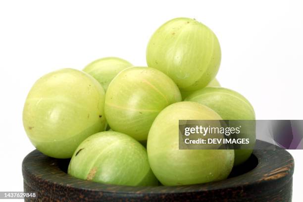 fresh gooseberries against white background - gooseberries stock pictures, royalty-free photos & images