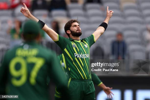 Shaheen Afridi of Pakistan celebrates the wicket of Stephan Myburgh of the Netherlands during the ICC Men's T20 World Cup match between Pakistan and...