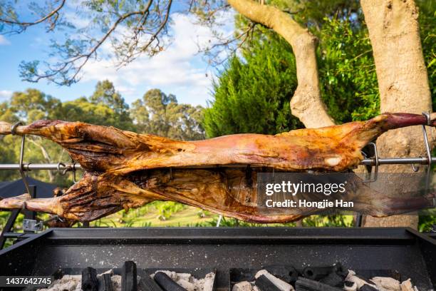 roast whole lamb - geheel stockfoto's en -beelden