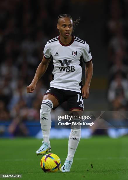 Bobby Reid of Fulham FC during the Premier League match between Fulham FC and Everton FC at Craven Cottage on October 29, 2022 in London, England.