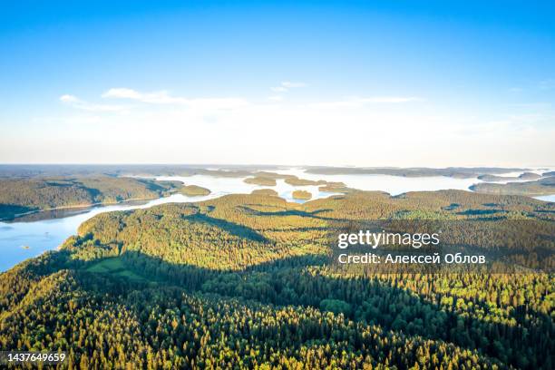 aerial view on ladoga lake. ladoga lake in karelia in summer. blue lake and green forest top view - lake ladoga stock pictures, royalty-free photos & images