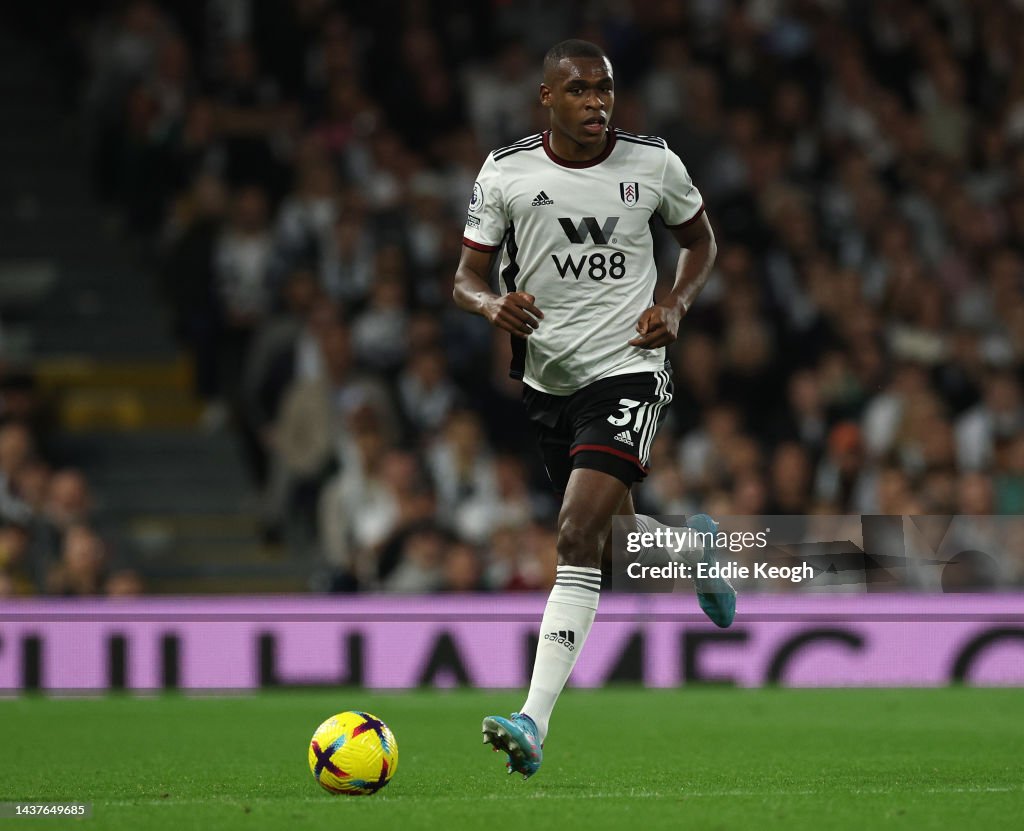 Fulham FC v Everton FC - Premier League