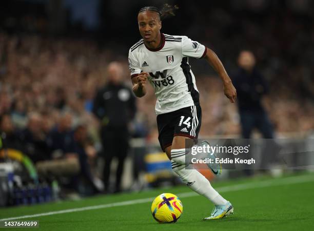 Bobby Reid of Fulham FC during the Premier League match between Fulham FC and Everton FC at Craven Cottage on October 29, 2022 in London, England.