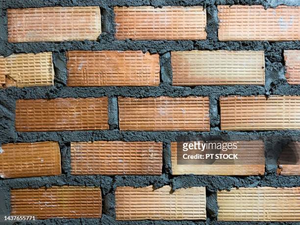 brick wall - abandoned crack house stock pictures, royalty-free photos & images