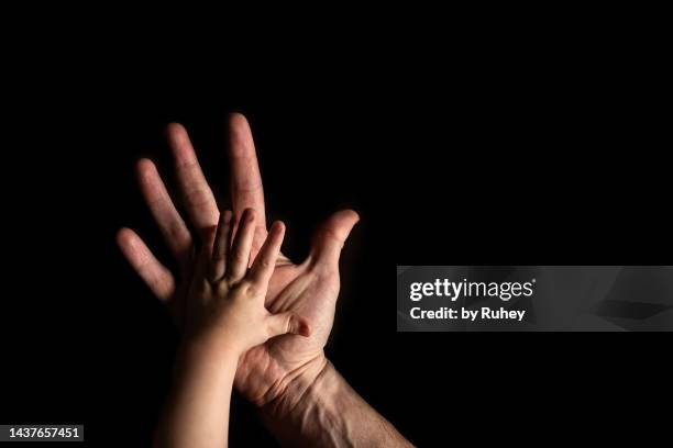 Black Hand 171 Black Hand Holding Small Object Stock Photos, High-Res Pictures ...