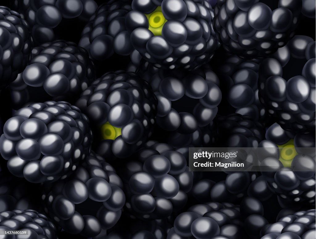Blackberry, Black Raspberry Background Vector
