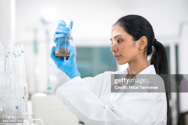 water quality tests and analysis in water testing laboratory. side-view of an asian female chemist holding a water sample to a finding of sublethal toxicity and validation of test results. - chromatography stock pictures, royalty-free photos & images