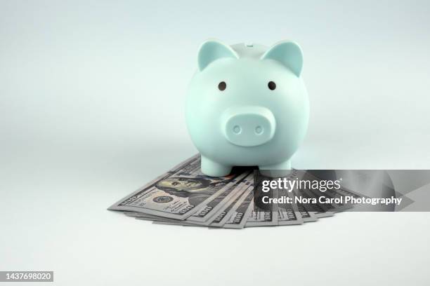 paper currency on top of piggy bank - american twenty dollar bill stock pictures, royalty-free photos & images
