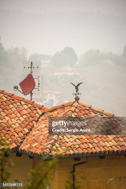 eagle shaped weathervane on terracotta tile roof - cuneo - fotografias e filmes do acervo