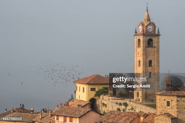 chiesa di santa elisabetta bell tower and pigeons flying in monforte d’alba, piedmont, italy - flyingconi stock pictures, royalty-free photos & images