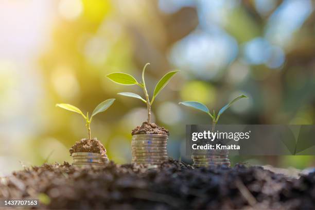 money coins stack grow up to saving money. - money advice stock pictures, royalty-free photos & images