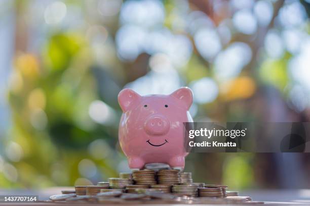 little pink piggy on top of money stack. - poupando para o dia de amanhã imagens e fotografias de stock