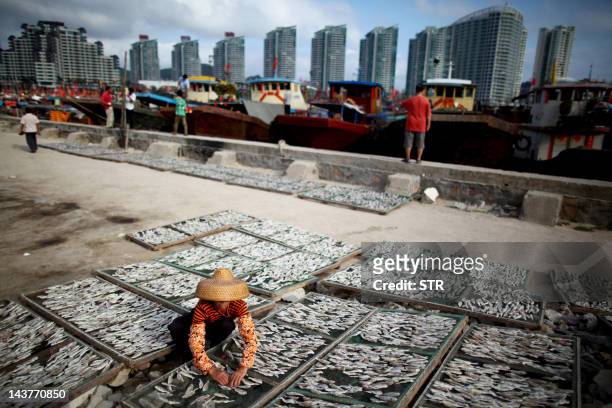 134 Haikou City Hainan China Port Photos and Premium High Res Pictures -  Getty Images