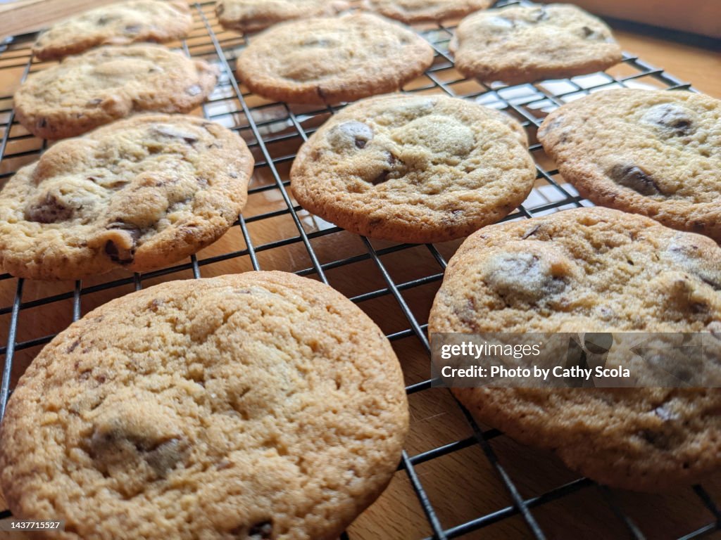 Chocolate chip cookies