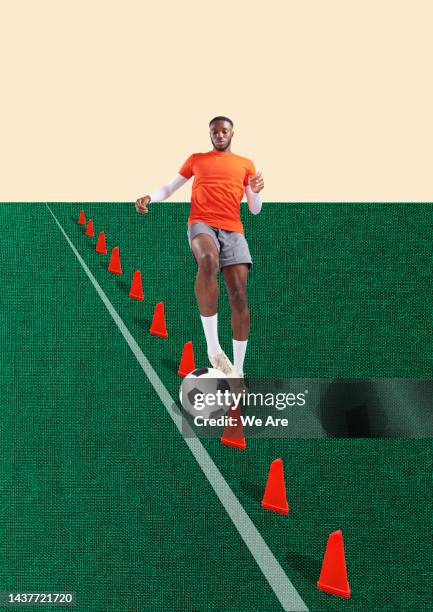 agility - ejercicio de entrenamiento deportivo fotografías e imágenes de stock
