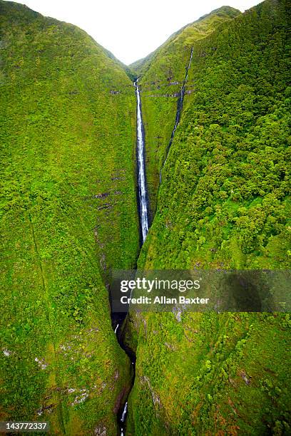 waterfall on moloka'i north shore - water fall hawaii 個照片及圖片檔