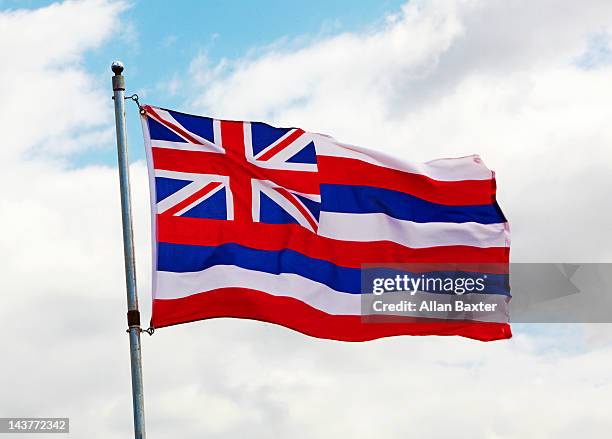 flag of hawaii - hawaii flag 個照片及圖片檔