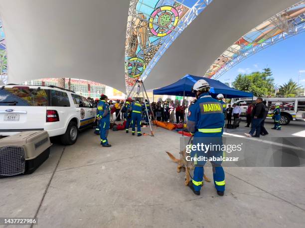 mexican navy search and rescue demonstration - emergency preparedness stock pictures, royalty-free photos & images