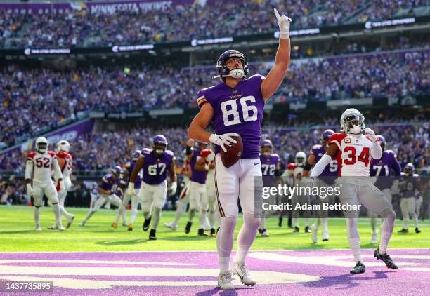 Johnny Mundt of the Minnesota Vikings celebrates a touchdown during the second quarter against the Arizona Cardinals at U.S. Bank Stadium on October...