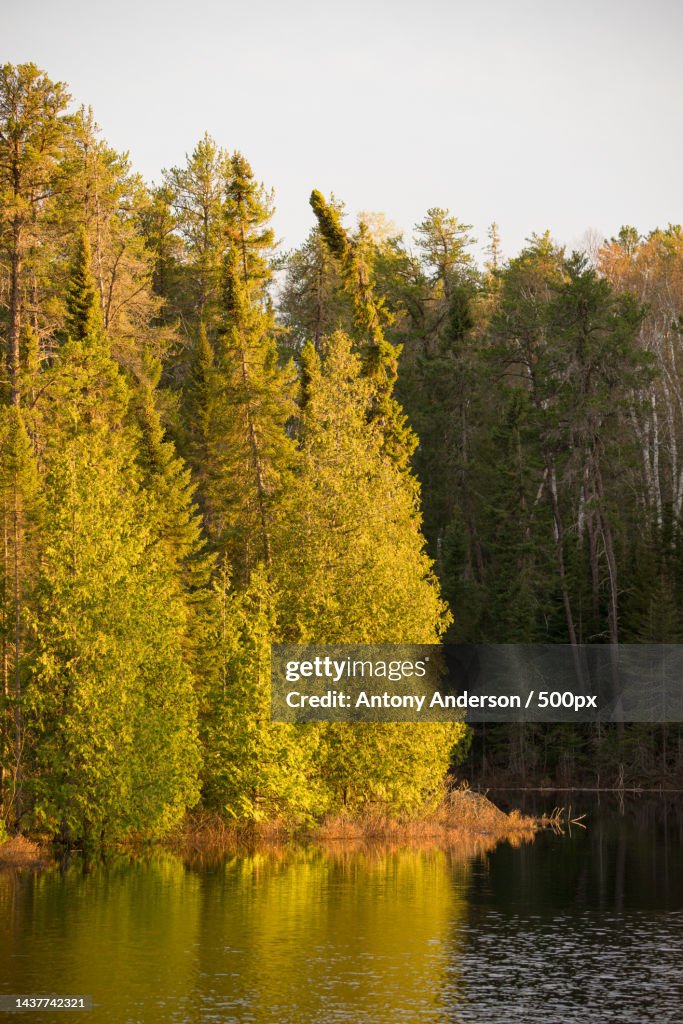 Scenic view of lake in forest against sky during autumn,Hudson Lake,United States,USA