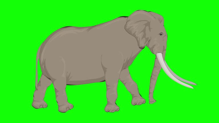 118 Elephant Cartoons Videos and HD Footage - Getty Images 118 Elephant Cartoons Videos and HD Footage - Getty Images