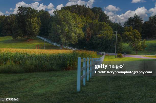 fence on a hill - missouri farm stock pictures, royalty-free photos & images