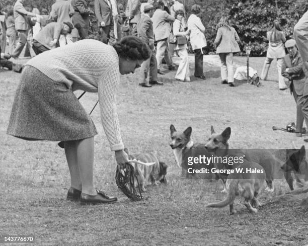 Queen Elizabeth II with her corgis at Virginia Water in Surrey, for the European Driving Championships, 12th May 1973. The Duke of Edinburgh is...