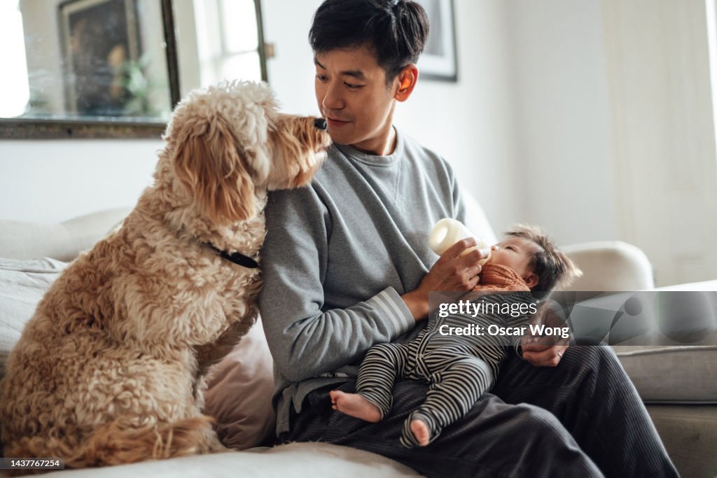 Young Asian father feeding his baby with baby bottle while his dog sitting with them