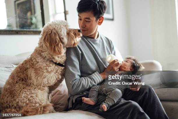 young asian father feeding his baby with baby bottle while his dog sitting with them - asian baby fotografías e imágenes de stock