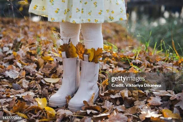 boots with autumn leaves. autumn mood. - girls shoes bildbanksfoton och bilder