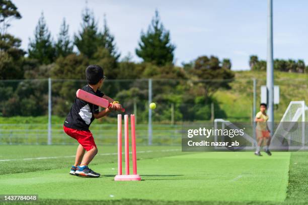 kids loving the game of cricket. - cricket ball and bat stock pictures, royalty-free photos & images