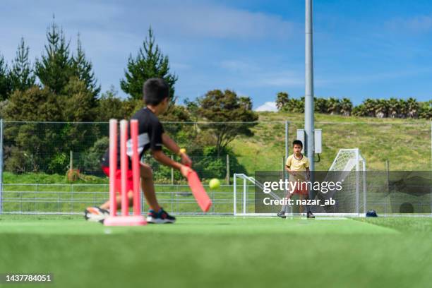 cricket boy hitting ball, playing cricket. - at bat stockfoto's en -beelden