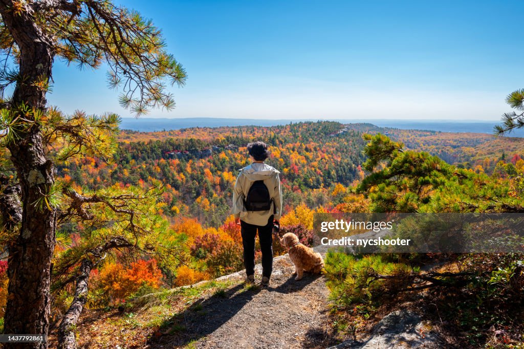 Senior woman enjoying Autumn weather with her dog