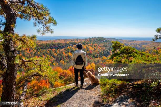 senior woman enjoying autumn weather with her dog - backpacker stock pictures, royalty-free photos & images