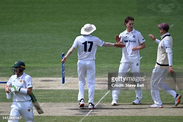 Mitchell Perry of the Bushrangers celebrates the wicket of Tim Paine of the Tigers during the Sheffield Shield match between Tasmania and Victoria at...
