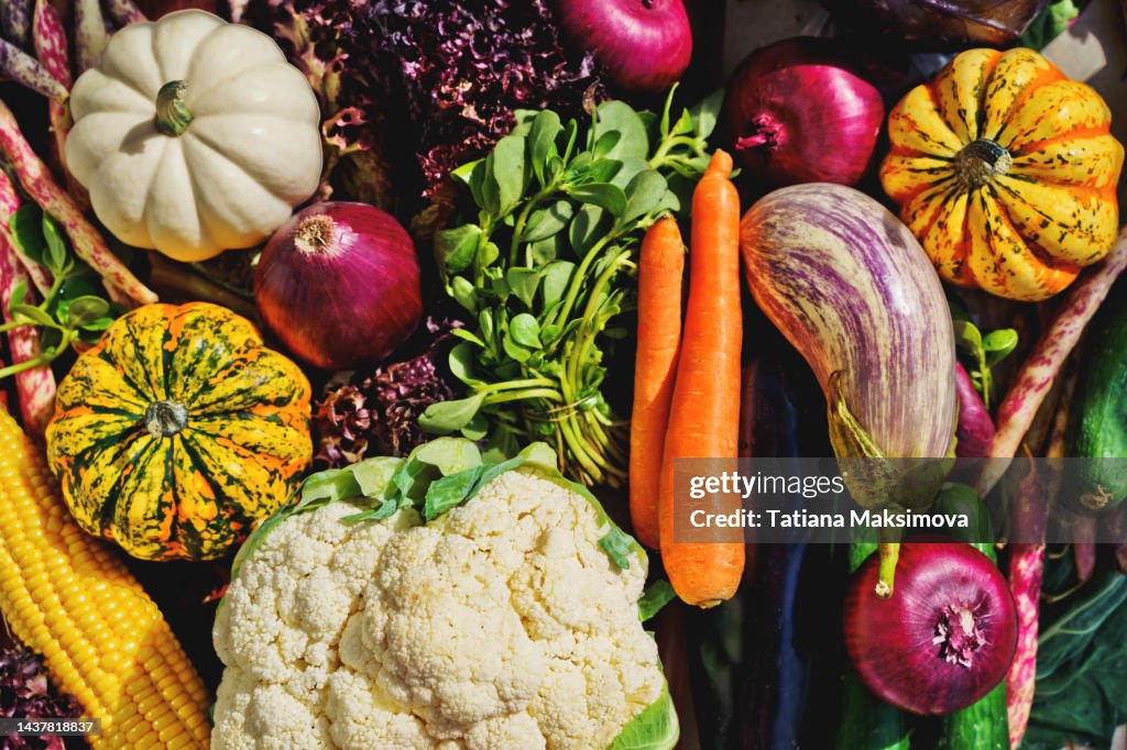 Different vegetables in sunny day. Top view, close-up.