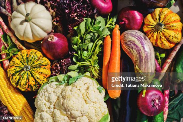 different vegetables in sunny day. top view, close-up. - vegetable stock pictures, royalty-free photos & images