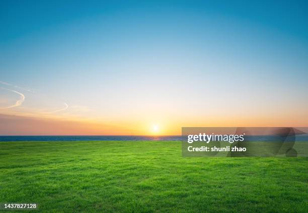 lawn by sea at sunset - grasland stock-fotos und bilder