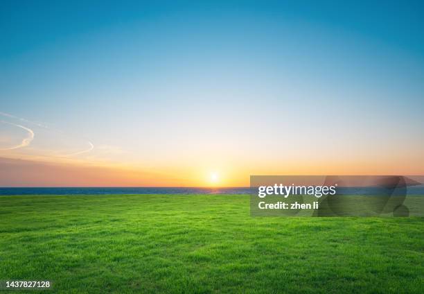 lawn by sea at sunset - prateria zona erbosa foto e immagini stock