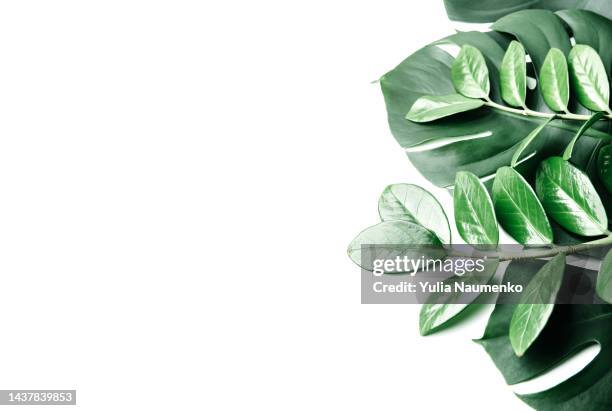 Concrete Jungle Leaves in White Concrete Jungle Leaves in White