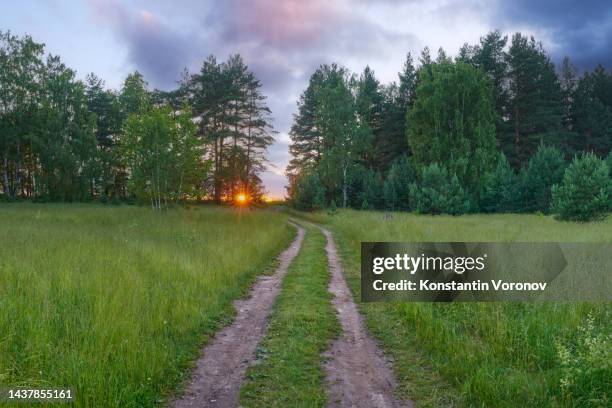 edge of the forest. pine and birch trees. summer. the setting sun, clouds on the background. meadow and dirt road going into the distance in the foreground - latvia forest stock pictures, royalty-free photos & images