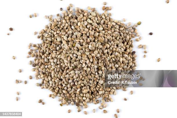 cannabis hemp seeds pile close up macro shot isolated on white background - macro food stock pictures, royalty-free photos & images